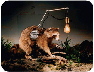 Illustration for article titled Scenes from the Cyborg Forest, where animals make up for their shortcomings with technology